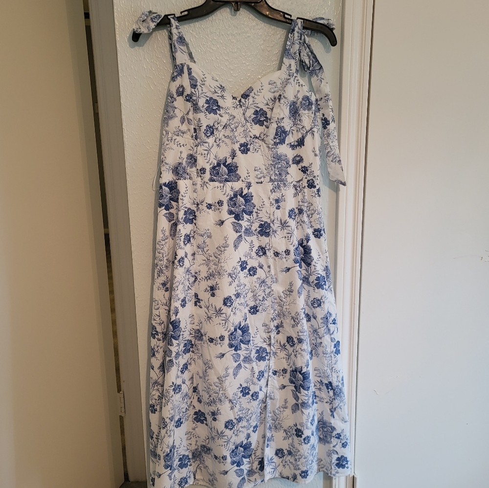 Francesca's Collections Blue and White Floral Midi Dress